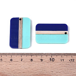 Opaque Resin & Wood Pendants&nbsp;RESI-T057-69A