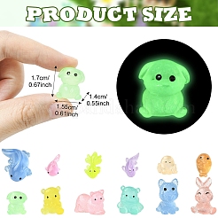 30Pcs 6 Styles Luminous Resin Display Decorations&nbsp;DJEW-YW0001-09A