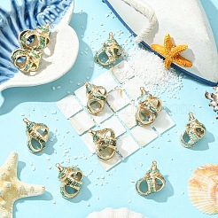 5Pcs Natural Sea Shell Pendants&nbsp;SSHEL-YW0001-11