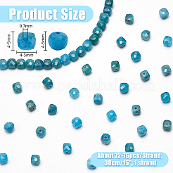 Natural Apatite Beads Strands&nbsp;G-NB0005-74