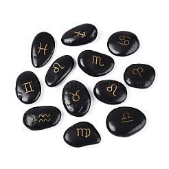 12Pcs Constellations Natural Black Stone Mineral Specimen&nbsp;G-N360-02