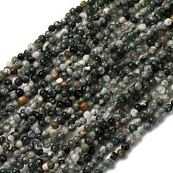 Natural Moss Agate Beads Strands&nbsp;G-I389-A40