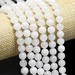 Natural Malaysia Jade Beads Strands&nbsp;G-L645-B01-8mm-01