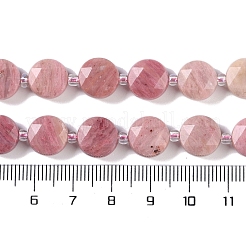 Natural Rhodonite Beads Strands&nbsp;G-N342-06