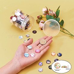 Flatback Glass Cabochons for DIY Projects&nbsp;GGLA-PH0004-27B