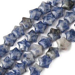 Natural Blue Spot Jasper Star Beads Strands&nbsp;G-Z080-A06