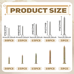10 Styles 304 Stainless Steel Stereoplasm Cement Nail&nbsp;STAS-LP0005-65