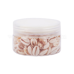 Natural Mixed Cowrie Shell Beads&nbsp;BSHE-CJ0001-01
