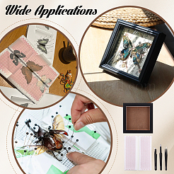 2Bags EVA Production Table for Butterfly Specimen&nbsp;DIY-PH0035-26