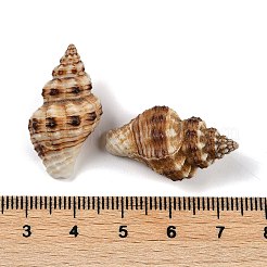 Natural Spiral Shell Pendants&nbsp;SHEL-K009-17C