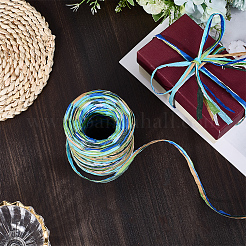 6 Colors Raffia Paper Cords&nbsp;OCOR-WH0063-110D