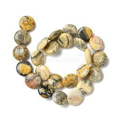 Flat Round Natural Crazy Lace Agate Beads Strands&nbsp;G-S110-05
