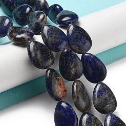 Natural Sodalite Beads Strands&nbsp;G-P528-L02-01