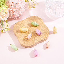 8Pcs 4 Colors Opaque Resin Pendants&nbsp;RESI-ME0001-52