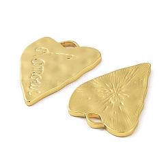 304 Stainless Steel Pendants&nbsp;STAS-F304-06G-02