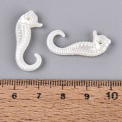 CCB Plastic Pendants&nbsp;PL-N007-08