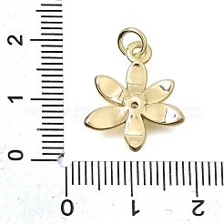 Brass Micro Pave Clear Cubic Zirconia Pendants&nbsp;CU-CBAE7DF-04G