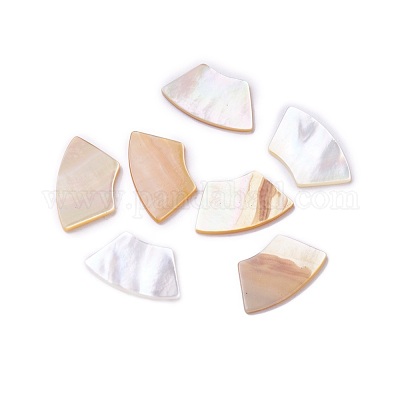 Shell Cabochons&nbsp;SSHEL-L012-03A-1