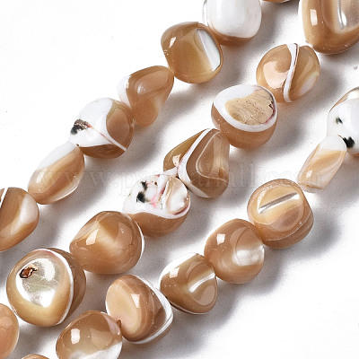 Natural Trochid Shell/Trochus Shell Beads Strands&nbsp;SSHEL-S266-015B-1
