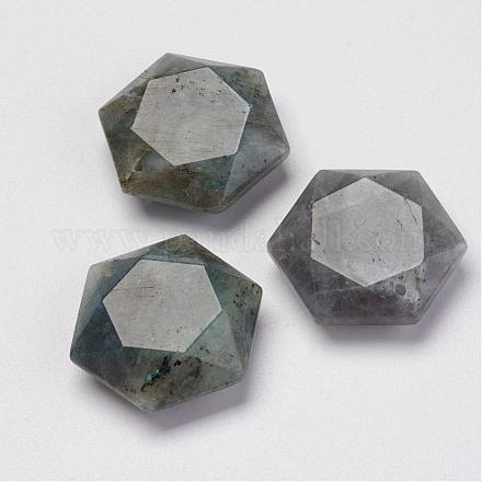 Natural Labradorite Pendants G-P264-01-1