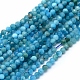 Natural Apatite Beads Strands&nbsp;G-E411-36-2mm-01-1