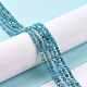 Natural Apatite Beads Strands&nbsp;G-E411-36-2mm-01-7