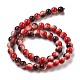 Synthetic Turquoise Dyed Beads Strands&nbsp;G-E594-24R-4