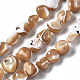 Natural Trochid Shell/Trochus Shell Beads Strands&nbsp;SSHEL-S266-015B-1