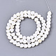 Natural Freshwater Shell Beads Strands&nbsp;SHEL-N026-67-2