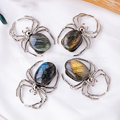 Natural Labradorite Alloy Spider Ornament&nbsp;PW-WG9F9E5-01