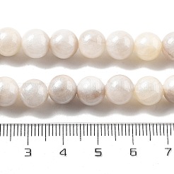 Natural Persian Jade Beads Strands&nbsp;G-A255-A02-02K