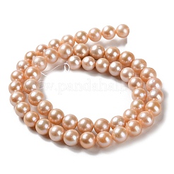 Natural Cultured Freshwater Pearl Beads Strands&nbsp;PEAR-E018-24