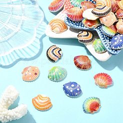 40Pcs 8 Colors Opaque Resin Cabochons&nbsp;RESI-CJ0004-35