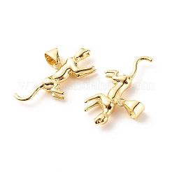 Brass Pendants&nbsp;KK-P208-13G-RS