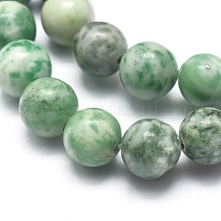 Natural Green Spot Jasper Beads Strands&nbsp;G-I254-06B