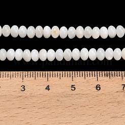 Natural Freshwater Shell Beads Strands&nbsp;SHEL-C010-04B-02
