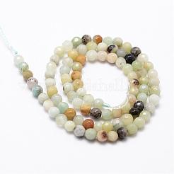 Natural Flower Amazonite Beads Strands&nbsp;G-D840-24-4mm