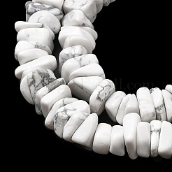 Natural Howlite Beads Strands&nbsp;G-A285-A12-01