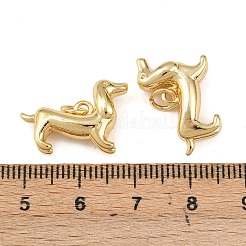 Brass Pendants&nbsp;KK-L255-20G-02