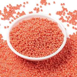 MIYUKI Round Rocailles Beads&nbsp;X-SEED-G008-RR0424