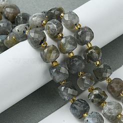 Natural Labradorite Beads Strands&nbsp;G-Q010-A25-01