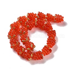 Handmade Lampwork Beads Strands&nbsp;LAMP-Q036-05B