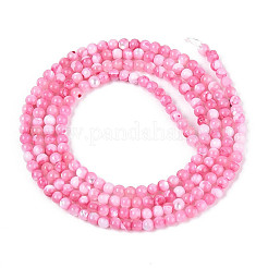 Dyed Natural Trochid Shell/Trochus Shell Beads Strands&nbsp;SSHEL-T017-13E
