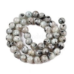 Natural Sesame Jasper/Kiwi Jasper Bead Strands&nbsp;G-R345-8mm-36