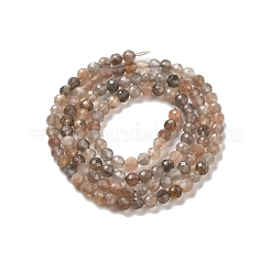 Natural Multi-Moonstone Beads Strands&nbsp;G-B074-B08-02