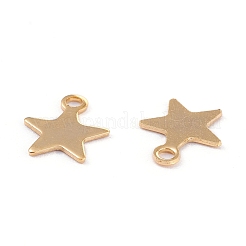 201 Stainless Steel Charms&nbsp;X-STAS-B001-14A-G