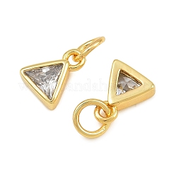Brass Pave Cubic Zirconia Charms&nbsp;CU-CBA3D67-10G-08