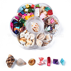 Natural Freshwater Shell & Sea Shell Beads&nbsp;SHEL-S278-038