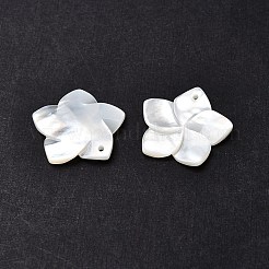 Natural White Shell Mother of Pearl Shell Pendants&nbsp;SSHEL-G014-60