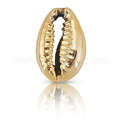 100Pcs Electroplated Natural Cowrie Shell Beads&nbsp;BSHE-LT0001-05A